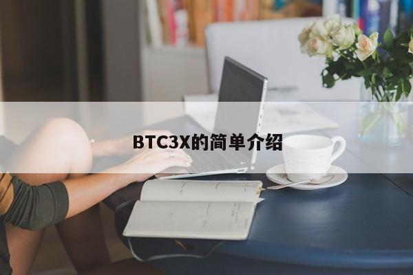 BTC3X的简单介绍