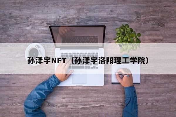 孙泽宇NFT（孙泽宇洛阳理工学院）