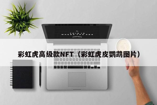 彩虹虎高级款NFT（彩虹虎皮鹦鹉图片）