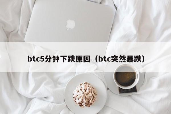 btc5分钟下跌原因（btc突然暴跌）