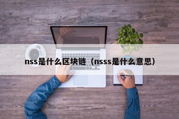 nss是什么区块链（nsss是什么意思）