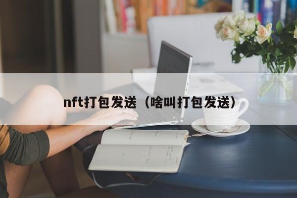 nft打包发送（啥叫打包发送）