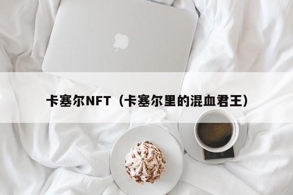 卡塞尔NFT（卡塞尔里的混血君王）