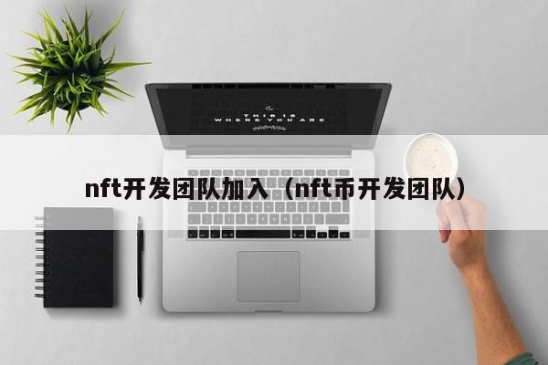 nft开发团队加入（nft币开发团队）