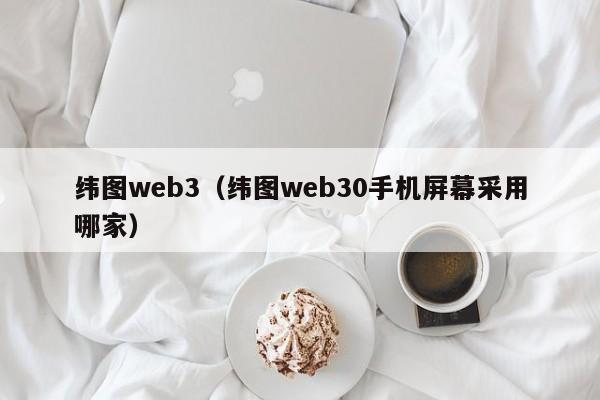 纬图web3（纬图web30手机屏幕采用哪家）