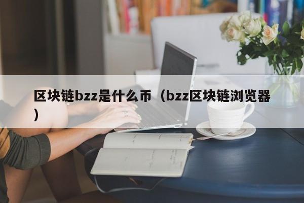 区块链bzz是什么币（bzz区块链浏览器）