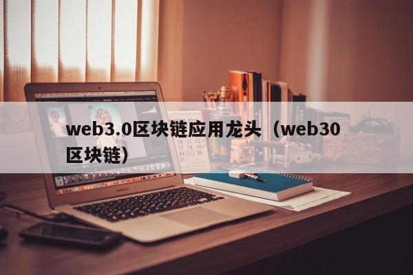 web3.0区块链应用龙头（web30 区块链）