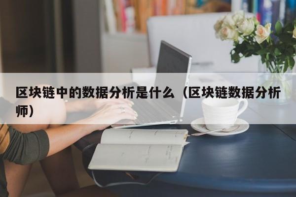 区块链中的数据分析是什么（区块链数据分析师）