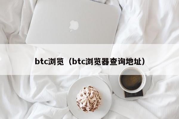 btc浏览（btc浏览器查询地址）